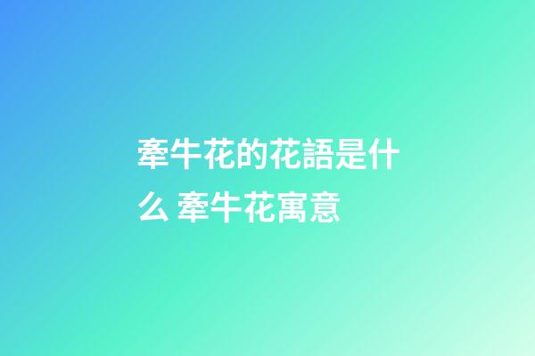 牽牛花的花語是什么 牽牛花寓意